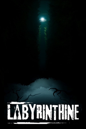 Carátula de Labyrinthine