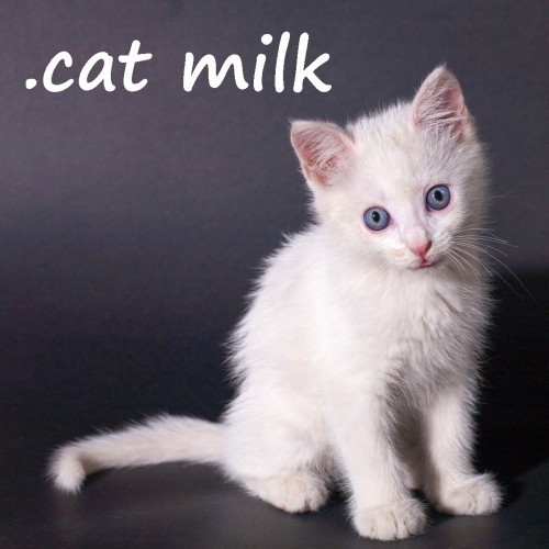 Carátula de .cat Milk
