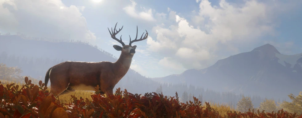 Explorando los Mapas de theHunter: Call of the Wild