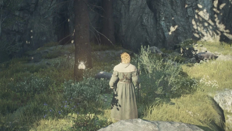 Guía esencial de Dragons Dogma 2: consejos y trucos 14