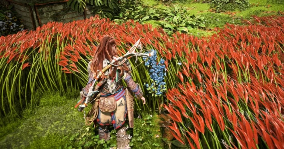 Consejos esenciales para Horizon Forbidden West 10