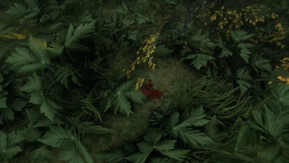 Guía práctica para theHunter Call of the Wild 1