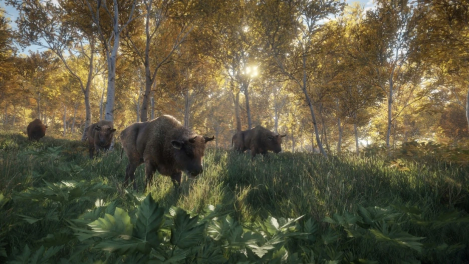 Guía práctica para theHunter Call of the Wild 4