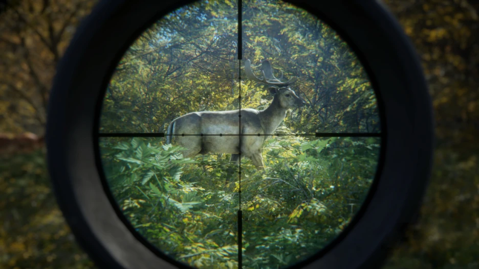 Guía práctica para theHunter Call of the Wild 5