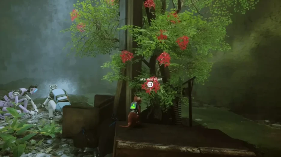 Consejos esenciales para jugar Stray 4