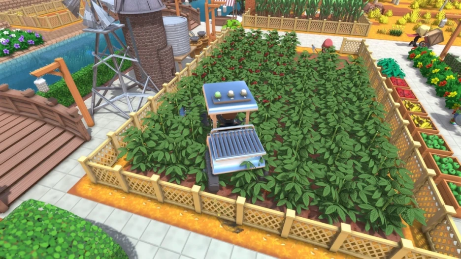 Guía Dinkum: consejos y trucos para principiantes 3