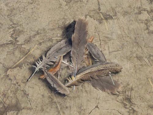 Cómo conseguir recursos y dinero en Medieval Dynasty 4