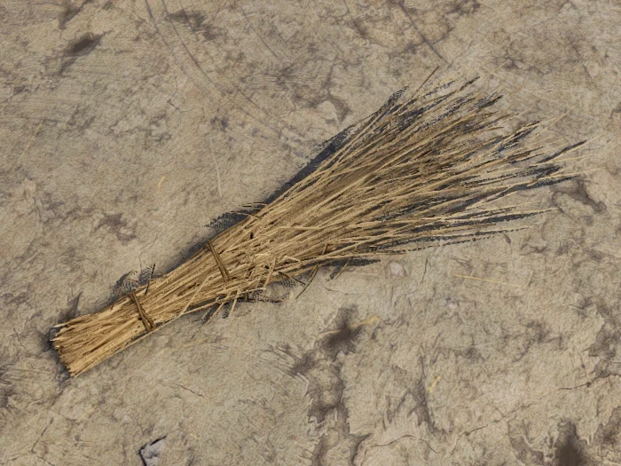 Cómo conseguir recursos y dinero en Medieval Dynasty 5