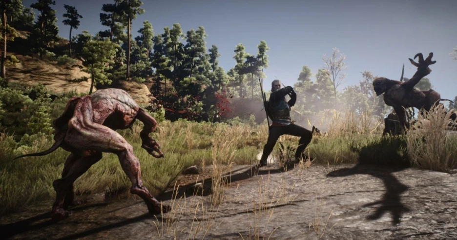 Cómo conseguir coronas rápido en The Witcher 3 5