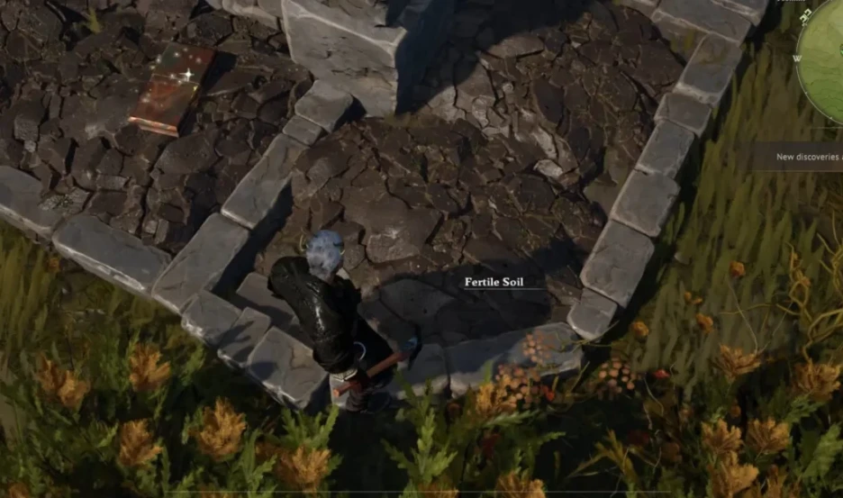 Guía de agricultura en Windrose: empezar y optimizar 2